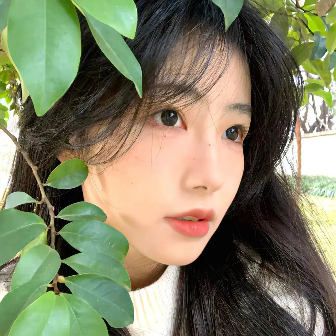 疯狂时代第二季
